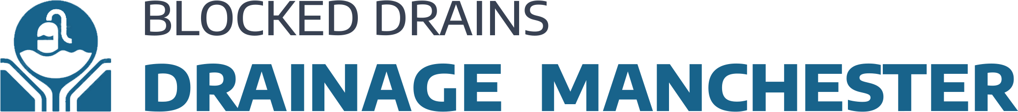 website logo